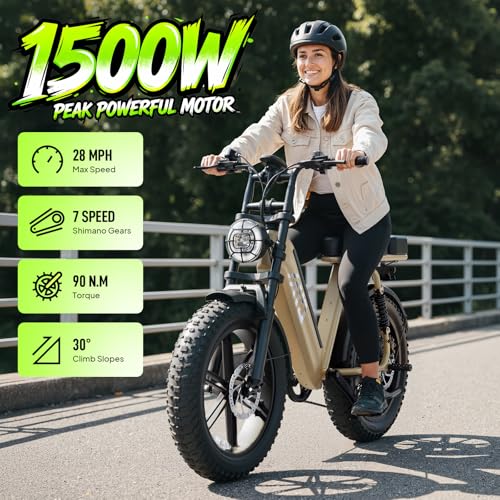 1500W Peak 20" Fat Tire All-Terrain Electric Bike