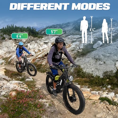 Dual Motor Electric Bike 26x4 Fat Tires Full Suspension 7-Speed