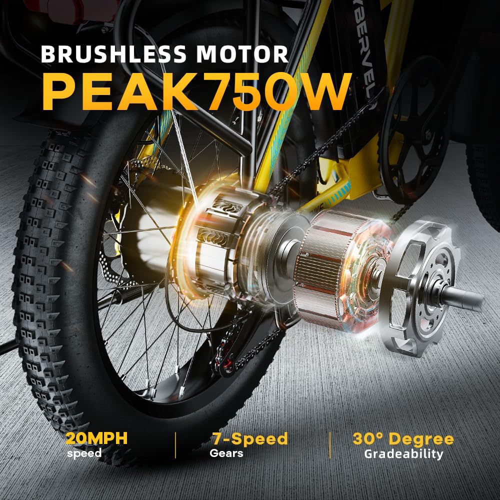 Folding Electric Bike 750W Motor 20-Inch Fat Tires