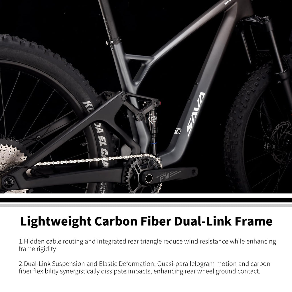 Titan 612 Carbon Fiber Soft Tail Mountain Bike