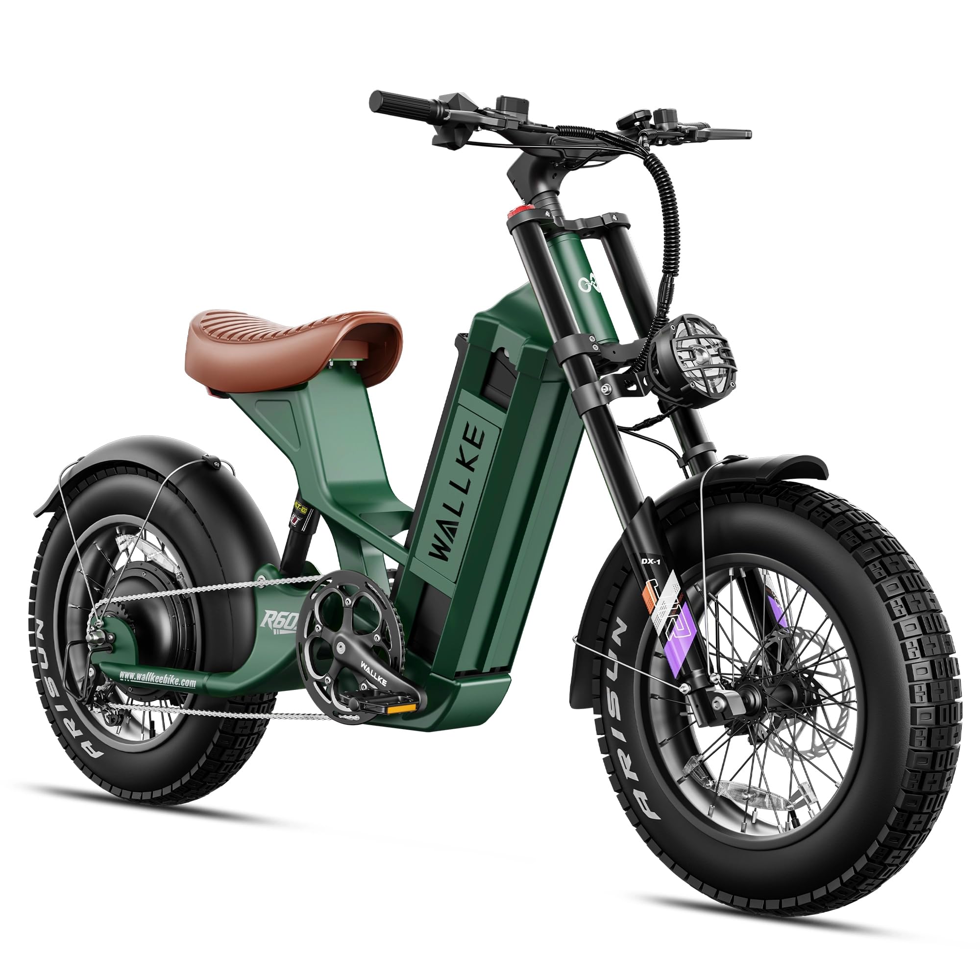Long Range Electric Bike 4000W Motor 20x5 Fat Tires Hydraulic Brakes