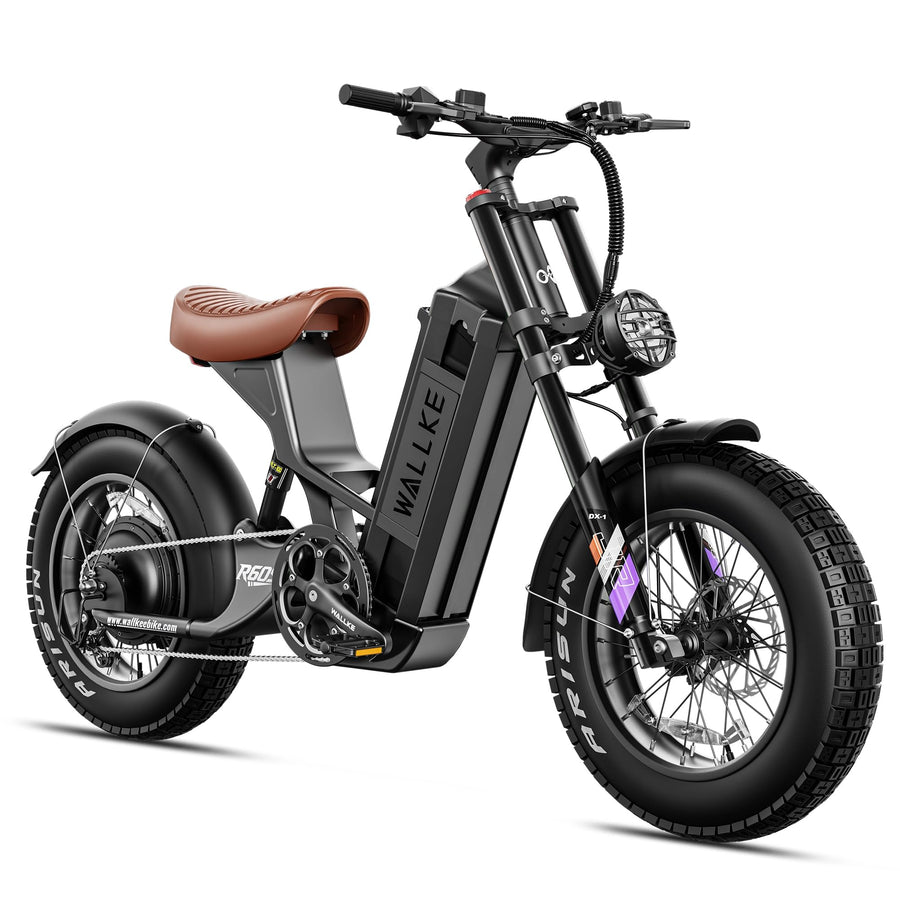 Long Range Electric Bike 4000W Motor 20x5 Fat Tires Hydraulic Brakes
