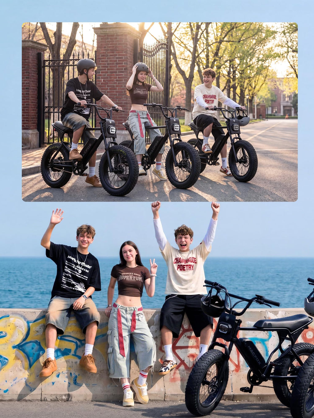 Electric Bike 750W Motor 20x4 Fat Tires Class 2