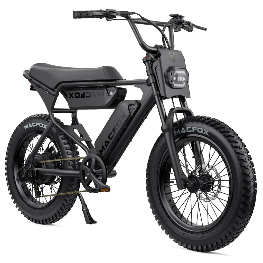 Electric Bike 750W Motor 20x4 Fat Tires Class 2