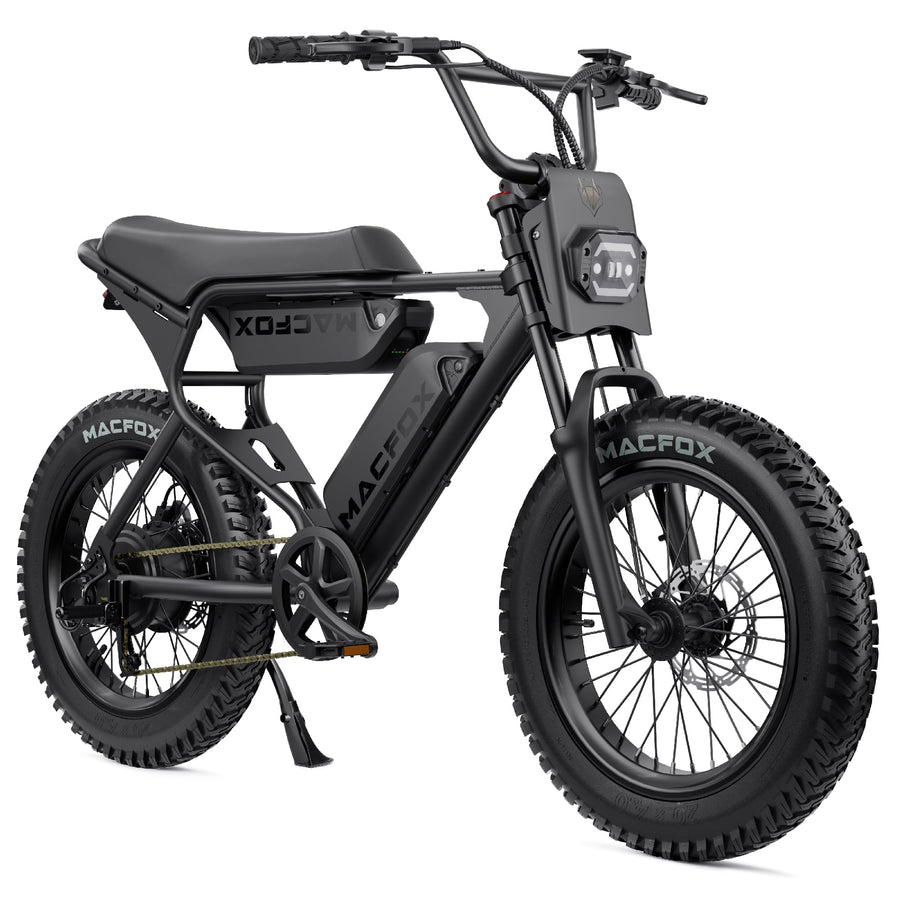 Electric Bike 750W Motor 20x4 Fat Tires Class 2