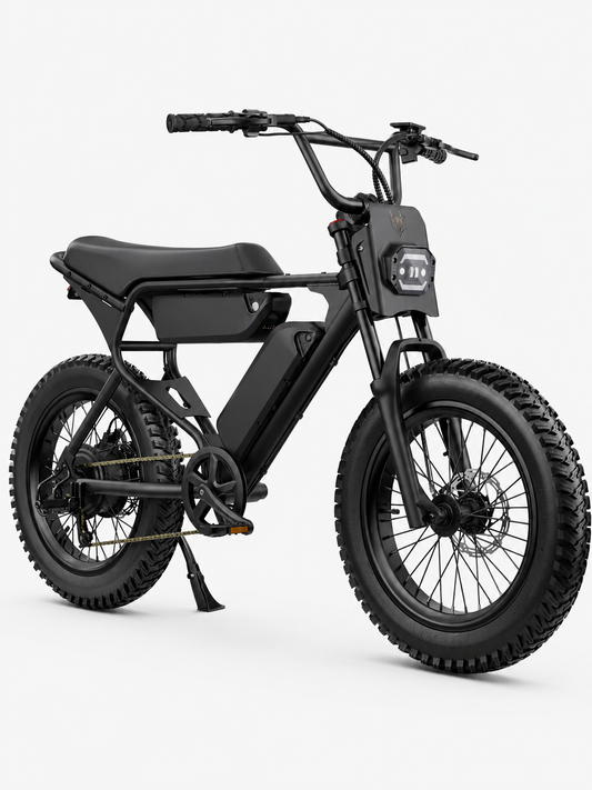 Electric Bike 750W Motor 20x4 Fat Tires Class 2