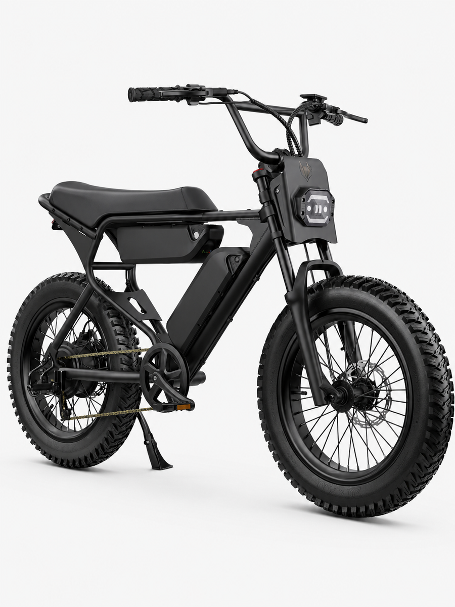 Electric Bike 750W Motor 20x4 Fat Tires Class 2