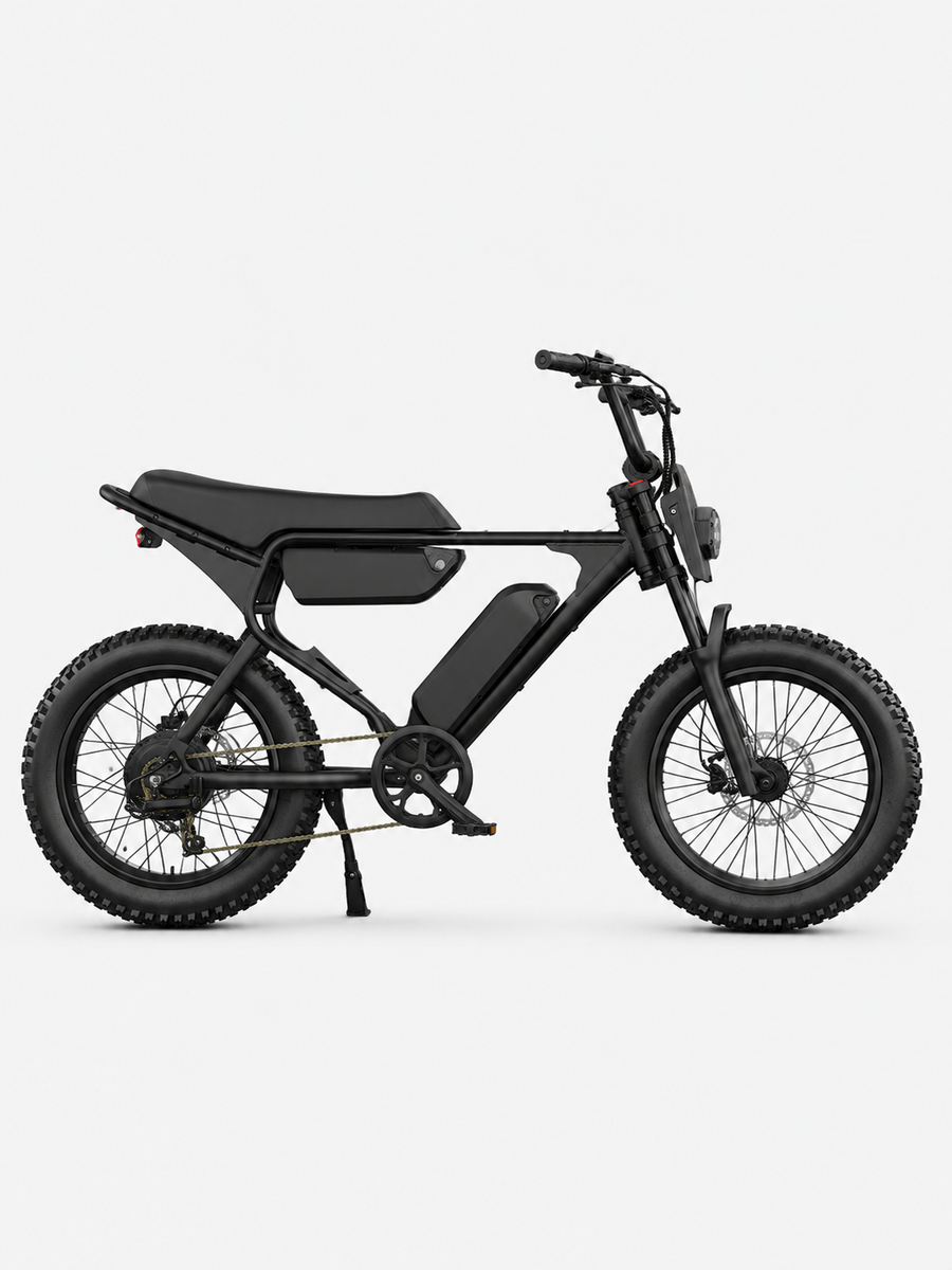Electric Bike 750W Motor 20x4 Fat Tires Class 2
