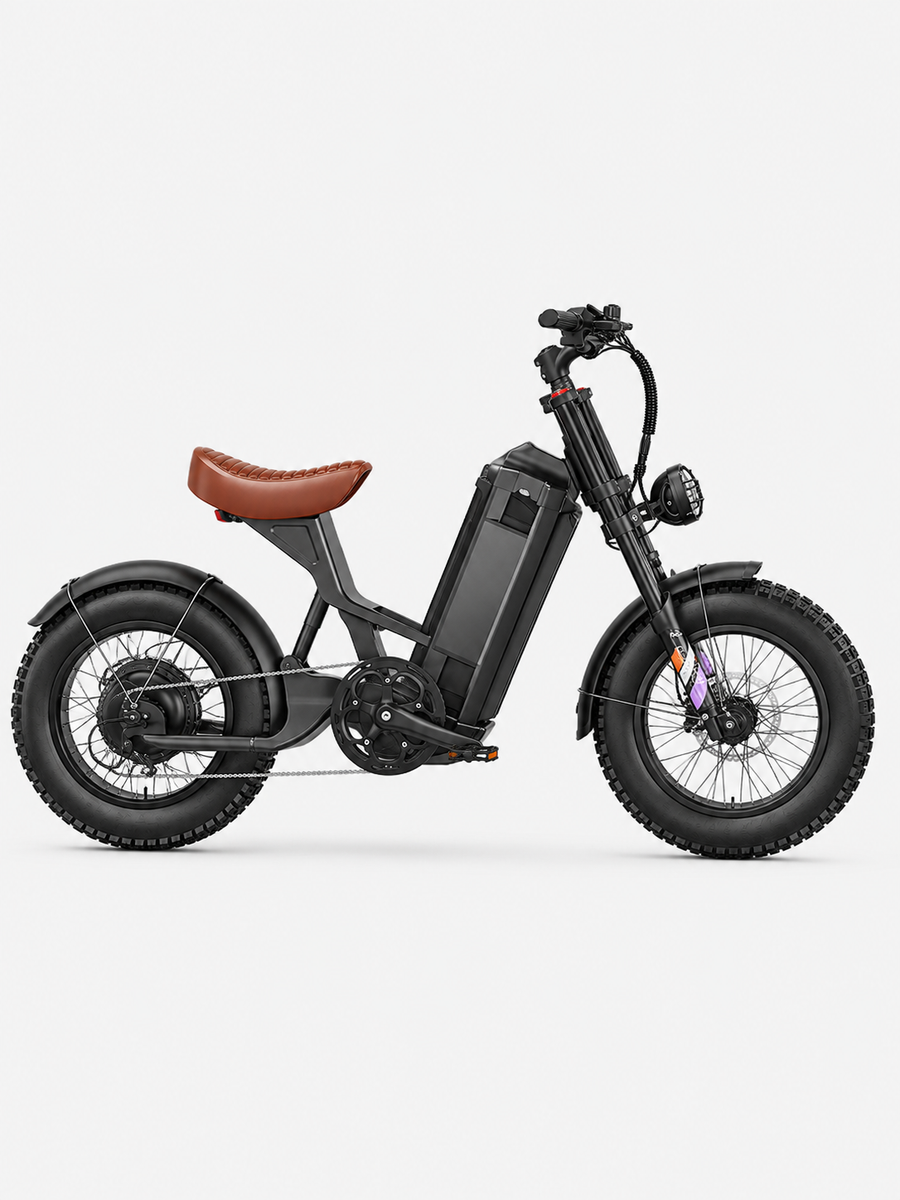 Long Range Electric Bike 4000W Motor 20x5 Fat Tires Hydraulic Brakes