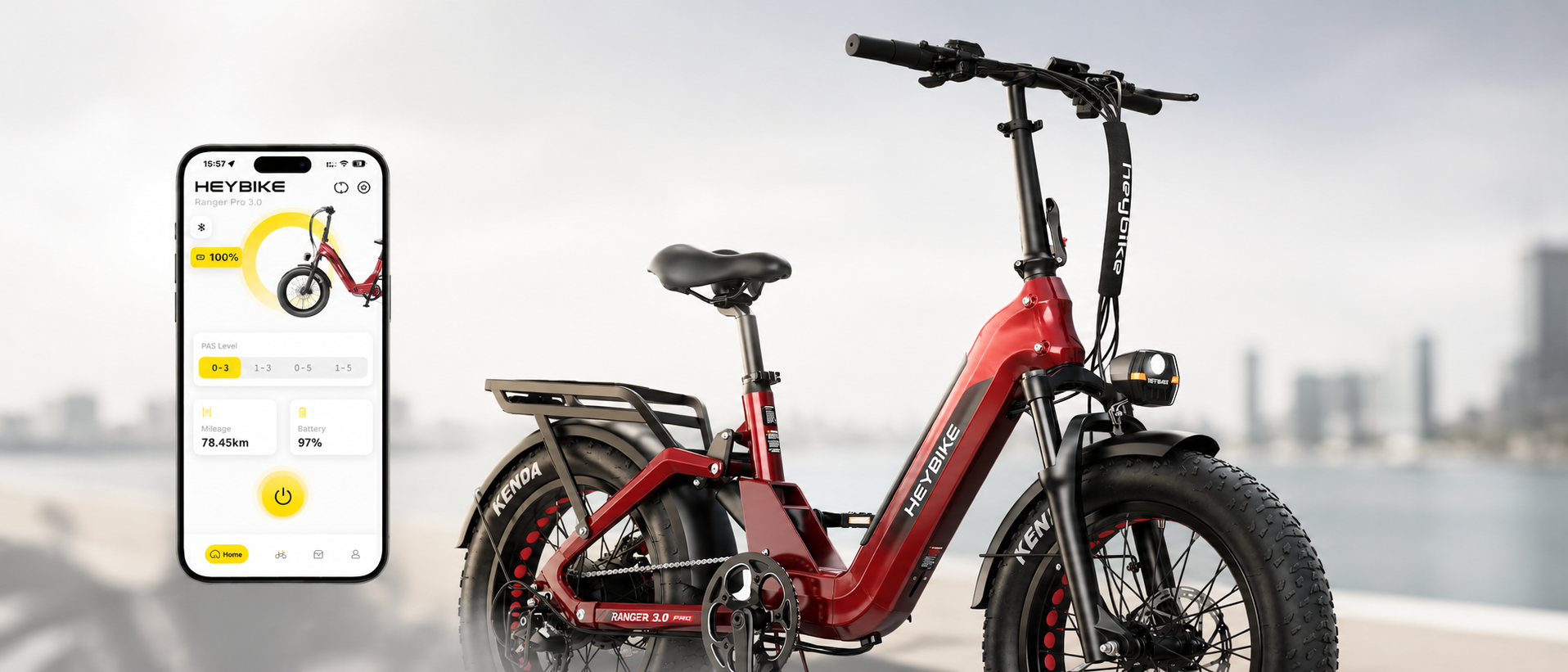 Folding E-Bike Control
